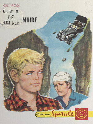 cover image of Le roi sans mémoire